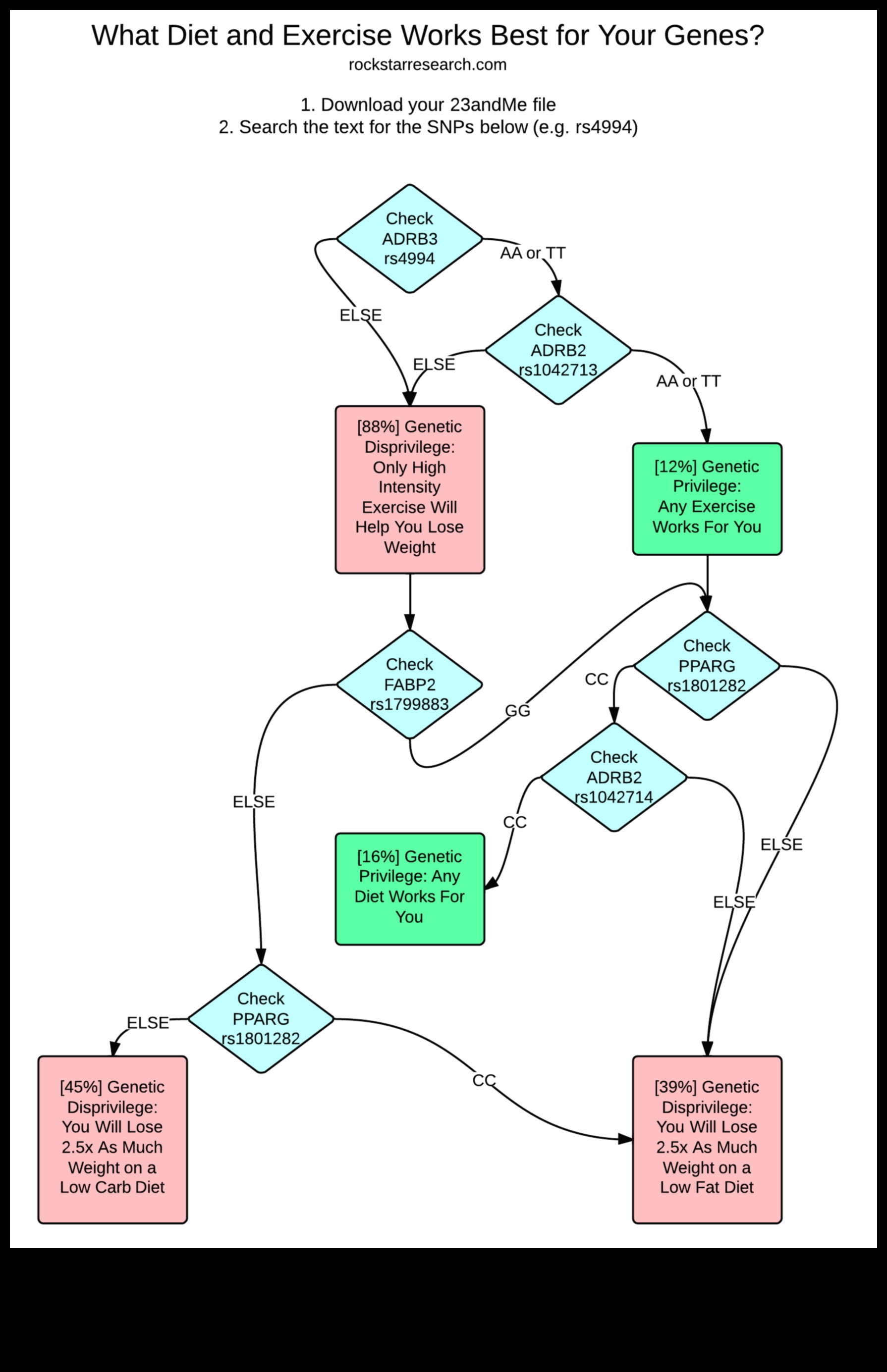 Ģenētikas ietekme uz reakcijām uz diētu ar zemu ogļhidrātu saturu