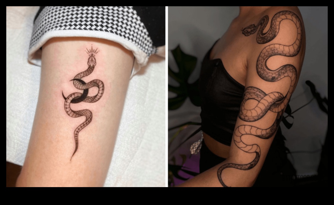 Tetovētas alegorijas: hronikas ar simbolisku tinti