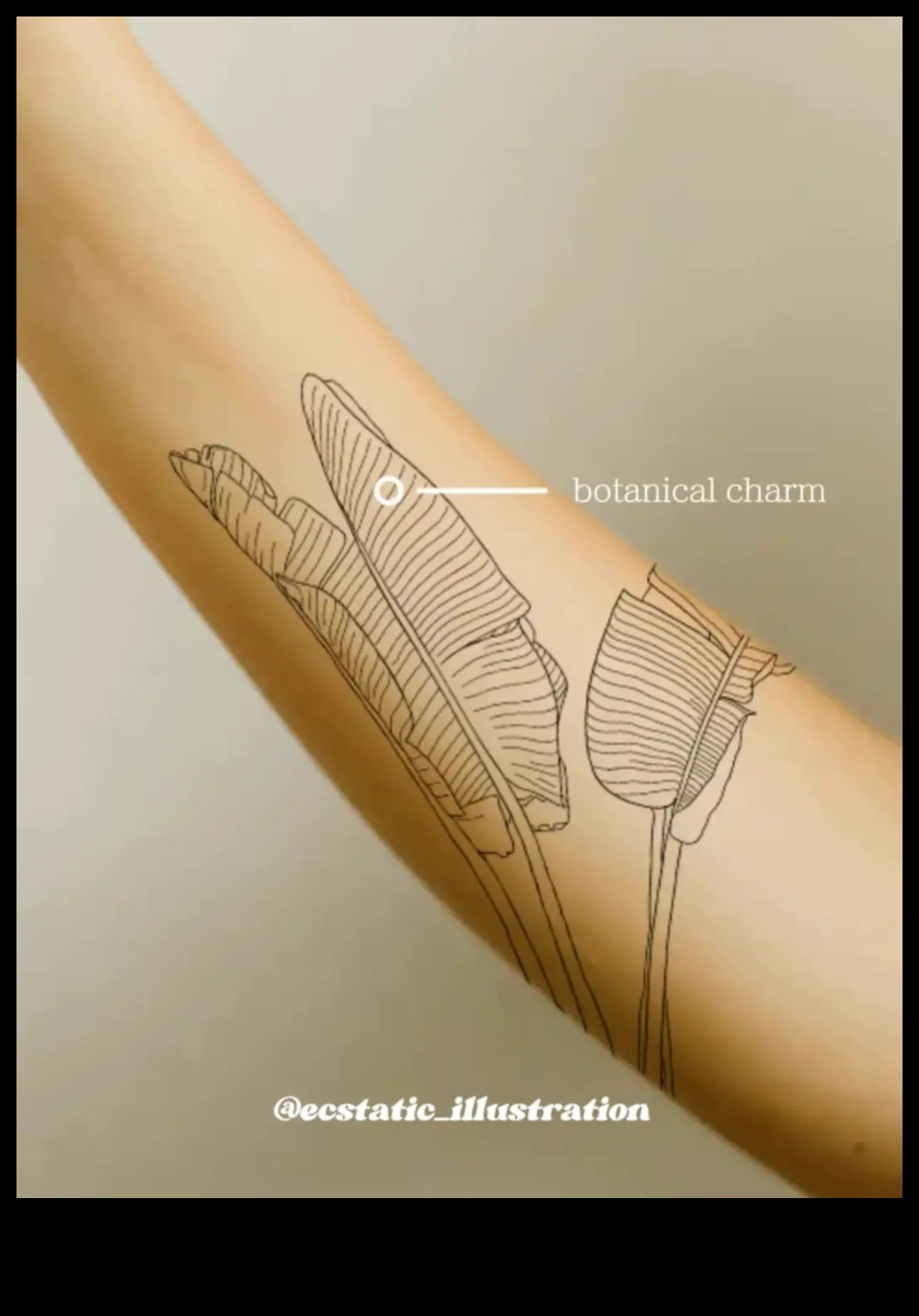 Nelieli šedevri: aptveriet minimālisma tintes šarmu