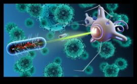 Nanotehnoloģijas Zinātnes ceļš uz priekšu