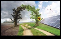 Zaļā jauda brīnās. Viedoklis pie jauninājumiem, kas veido atjaunojamās enerģijas nākotni