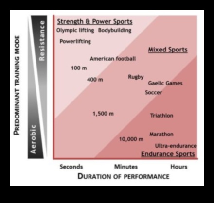Zema ogļhidrātu satura diētas draudzene par to, ja sportiskā snieguma ienaidnieks